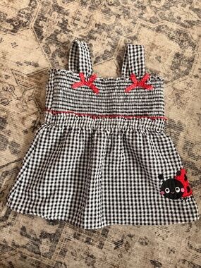 Bonnie Jean Toddler Gingham Dress w/ Ladybug Detail Summer Dress | Size 4T